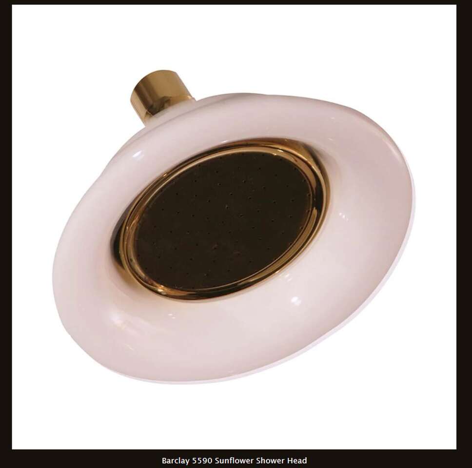 Barclay 5590 Sunflower Shower Head - Polished Brass