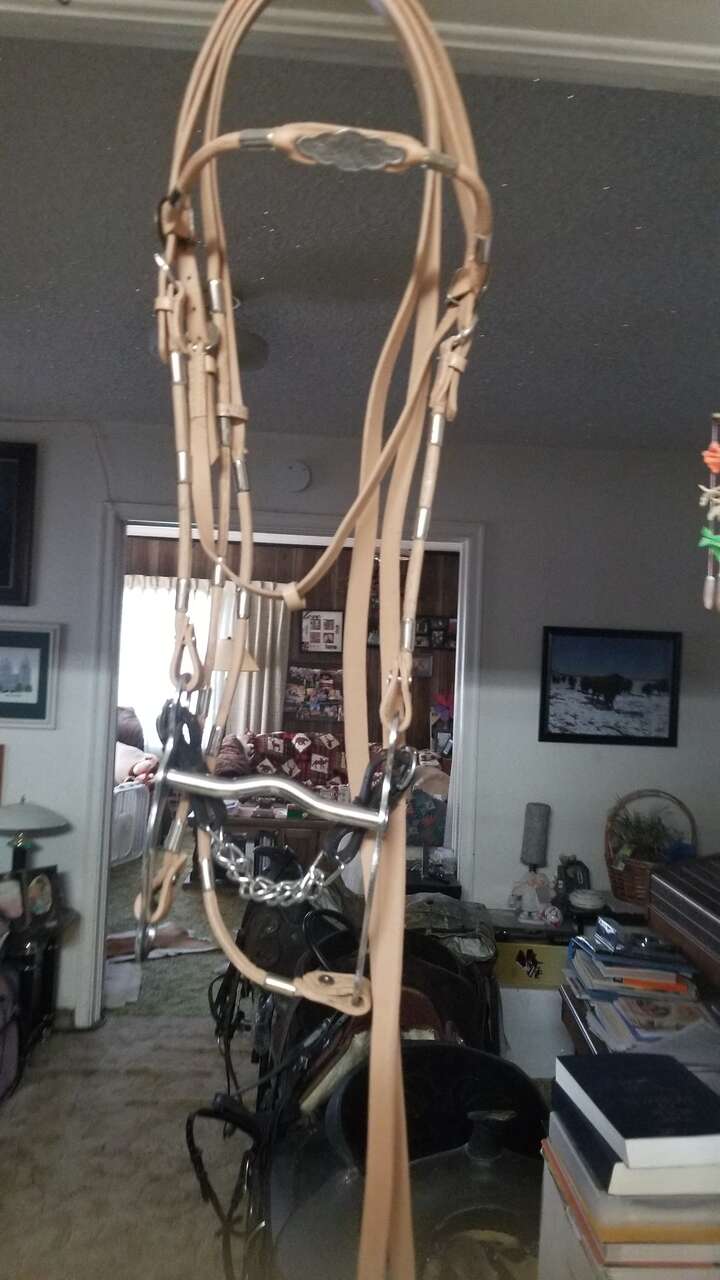 New bridles available