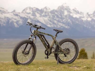 VTUVIA E-Bike 750W/48 V/13 Ah