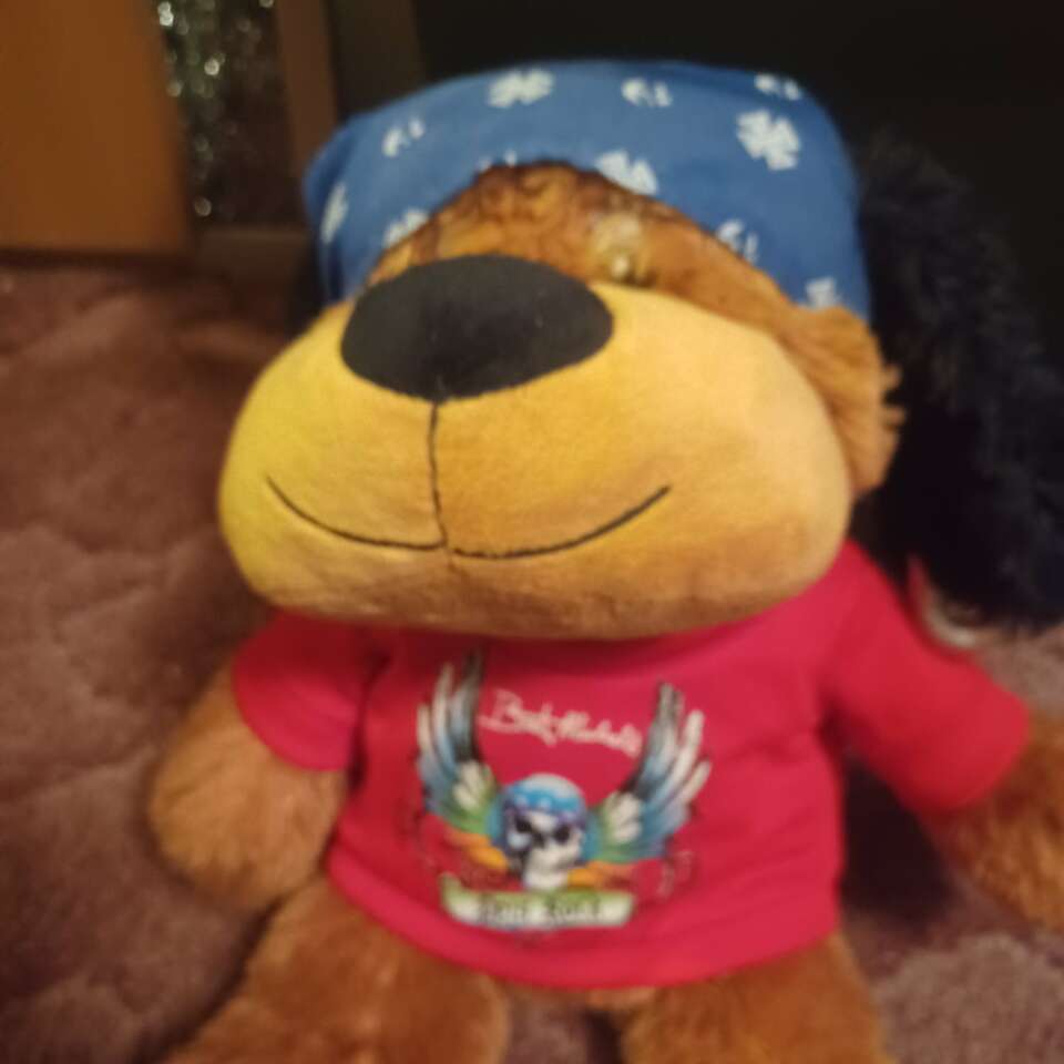 Bret Michael's teddy bear