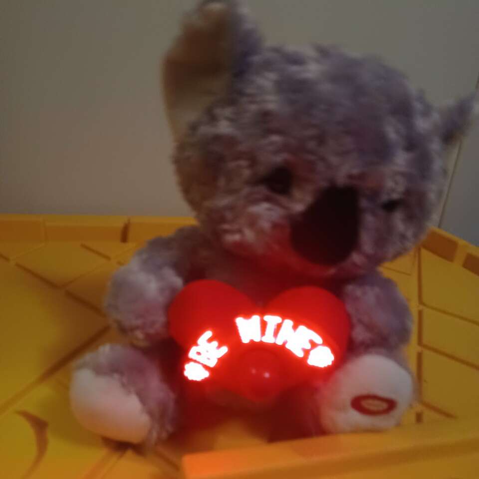 Light up bear