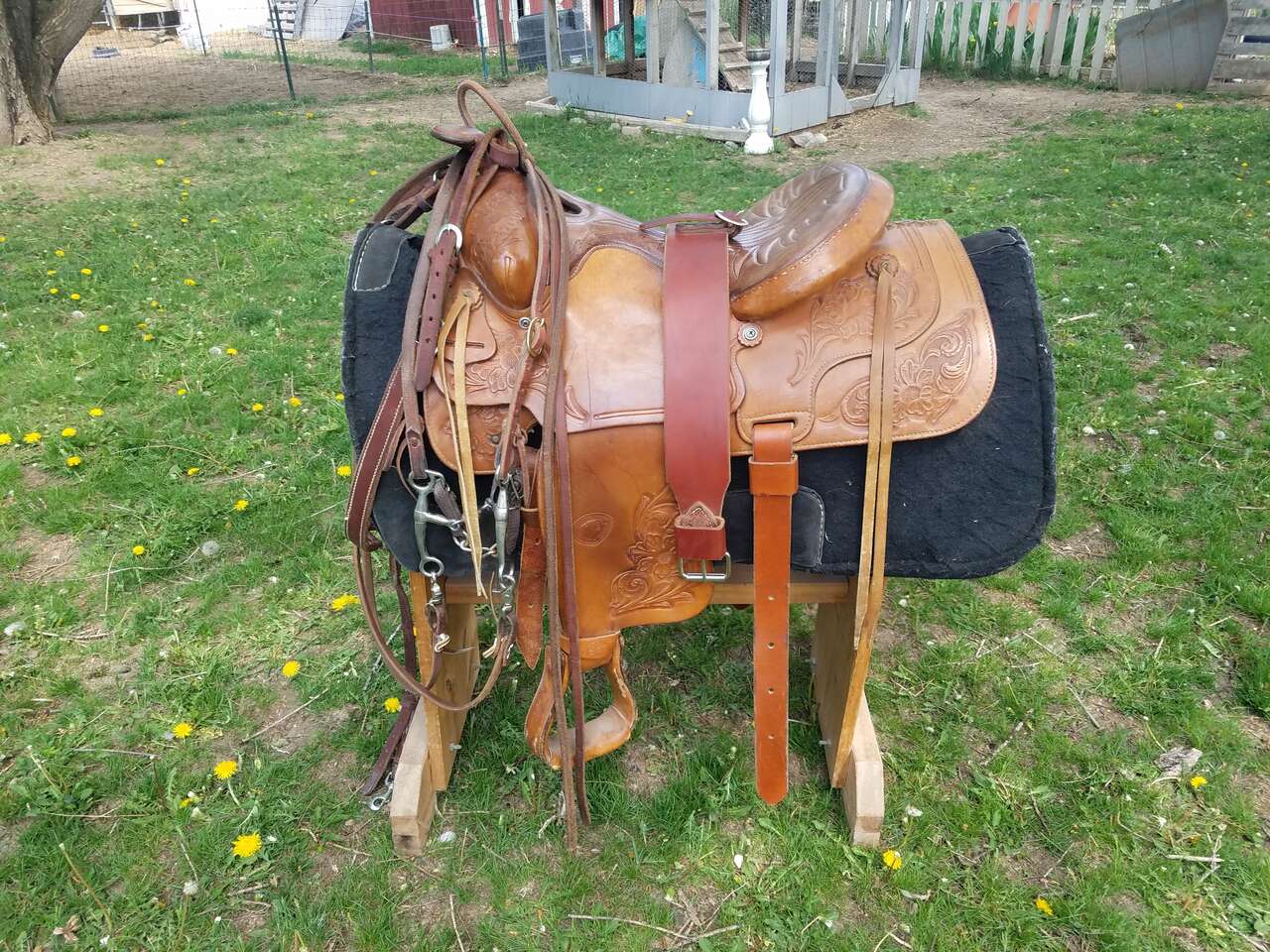 Saddle Livestock