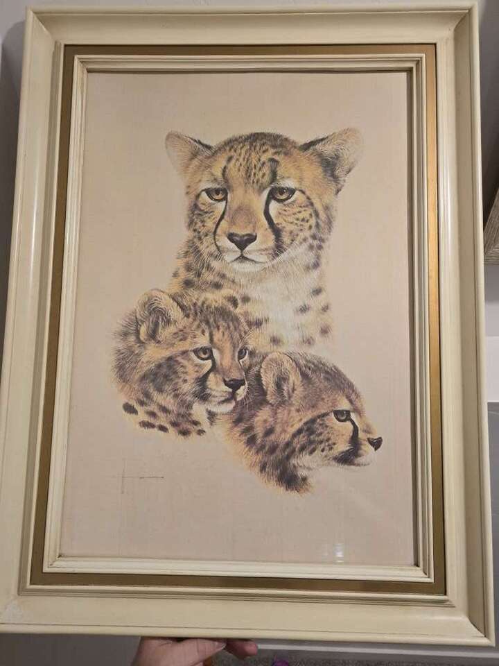 Vintage Framed Cheetah And Cubs