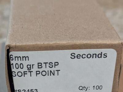 6mm BTSP bullets 100 gr