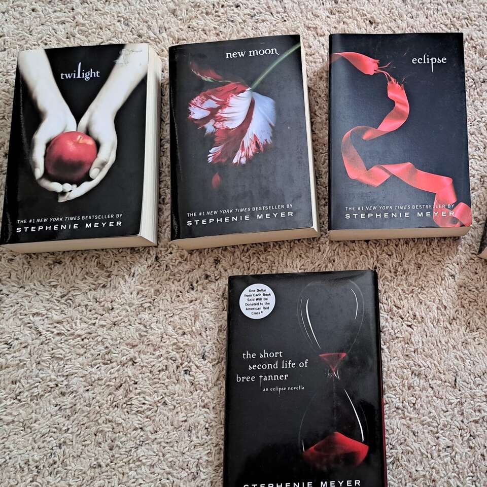 Twilight Saga (5/6 books)