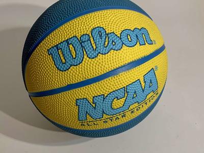 Mini Basketball WILSON NCAA All Star Edition