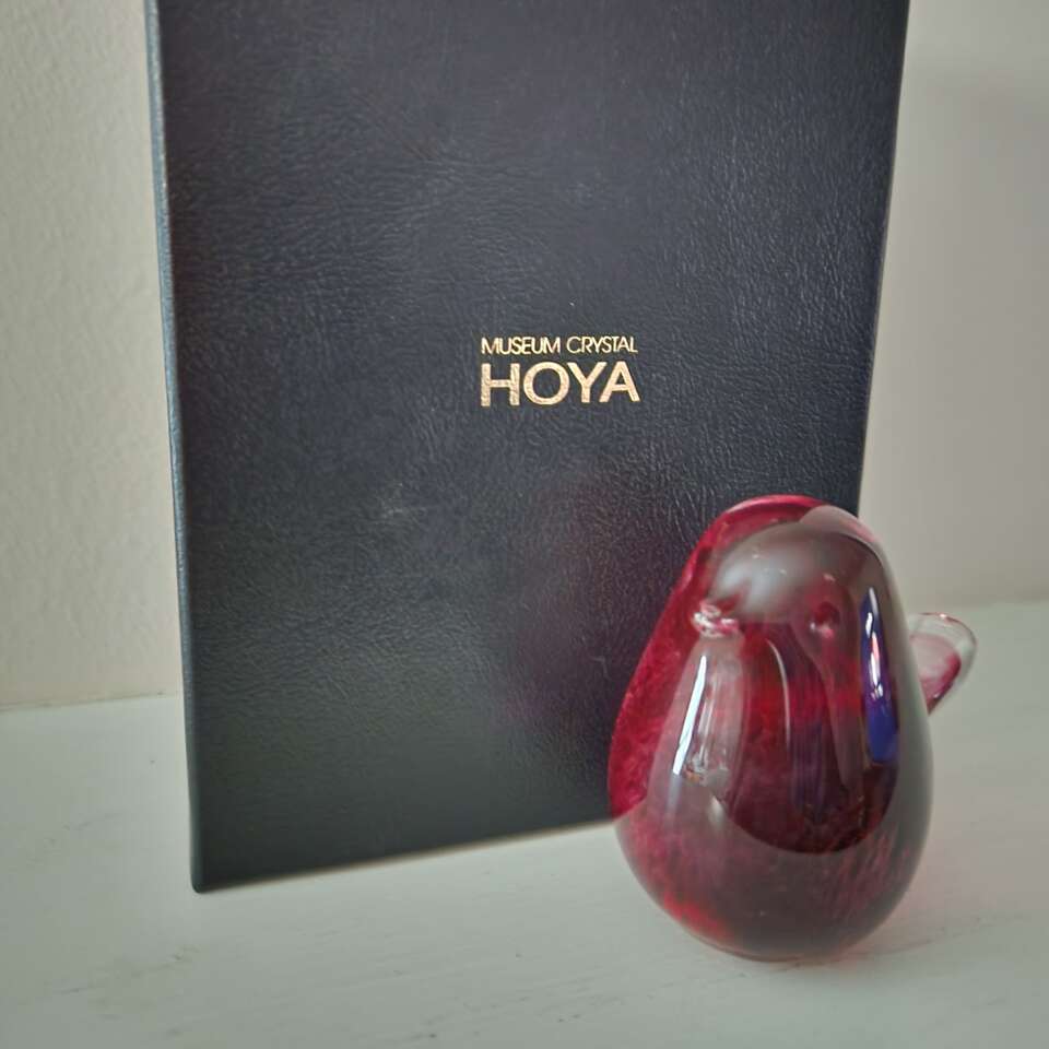 Hoya Glass Red Bird