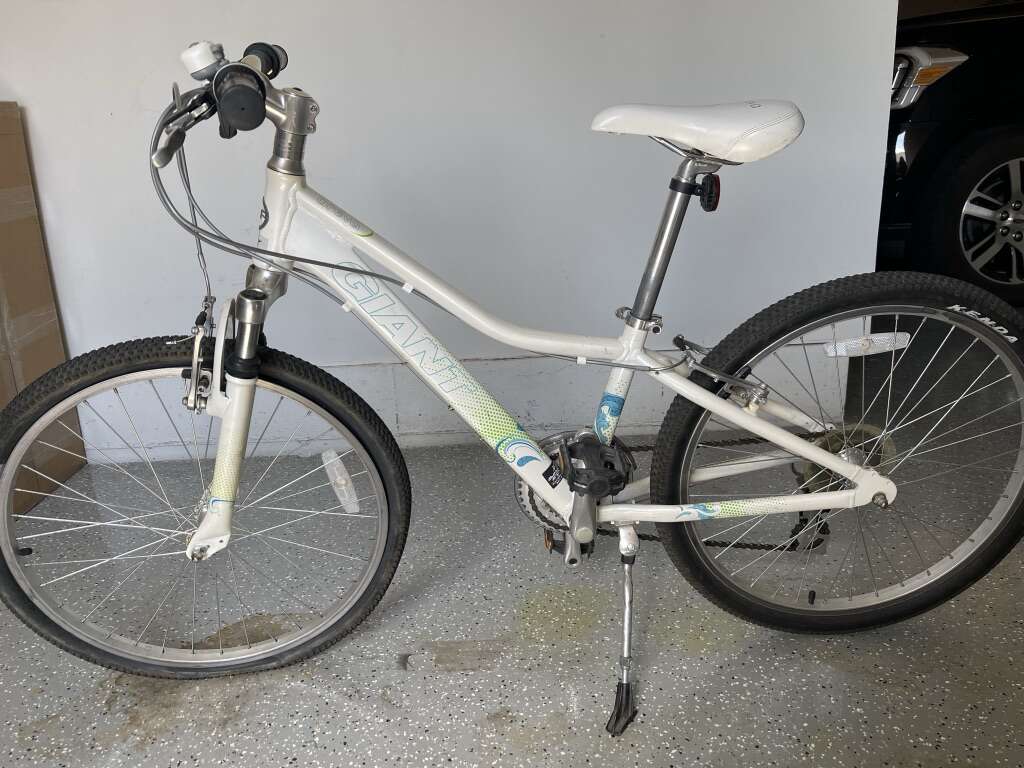 Giant areva hotsell 24 inch bike