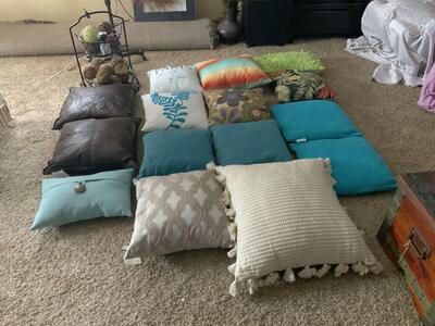 THROW PILLOW PURGE. ALL IN PERFECT CONDITION. SIZES/PRICES IN DESCRIPTION. CASH/VENMO ONLY
