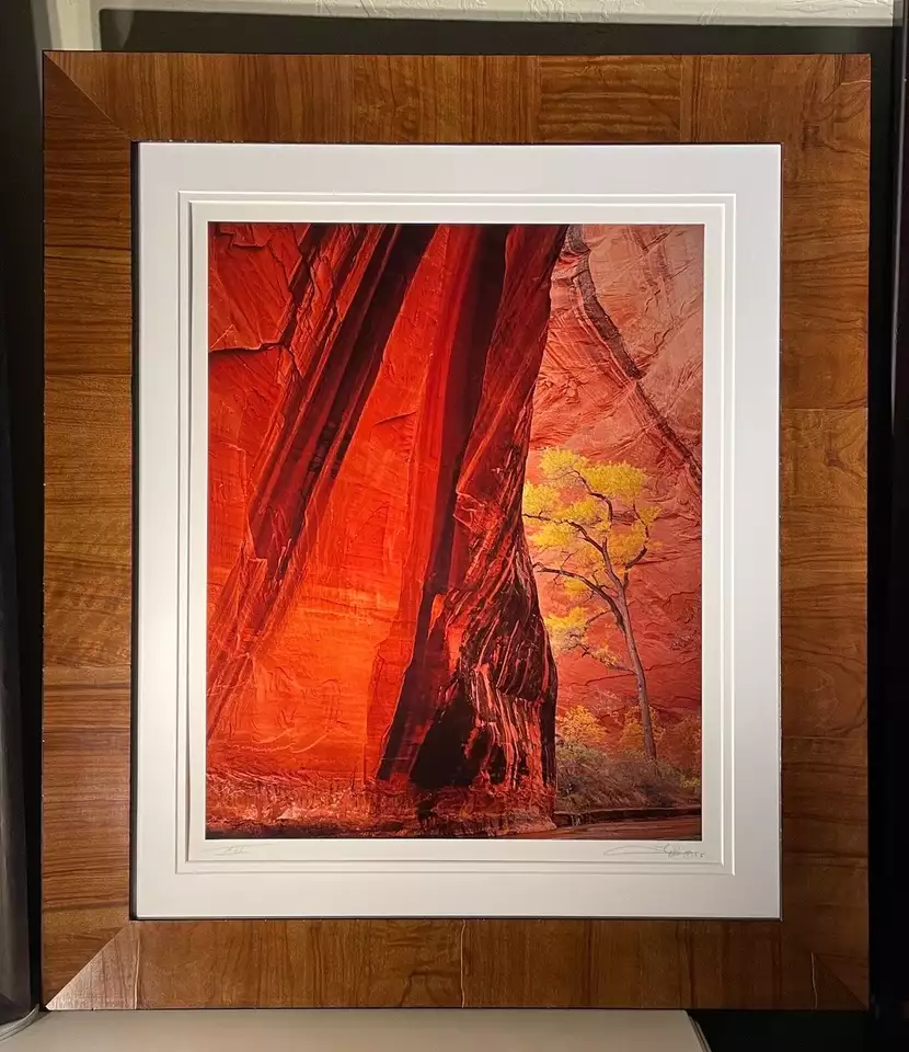 Michael Fatali "Canyon Voices" authentic cibachrome 16x20
