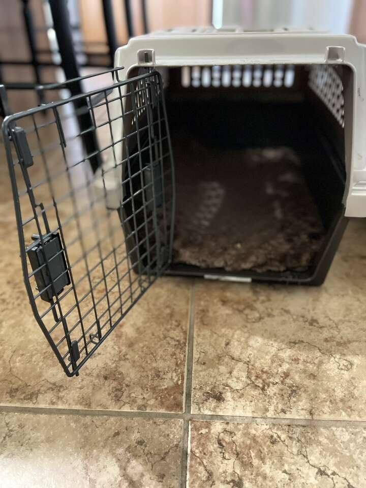Kennel Pet Housing