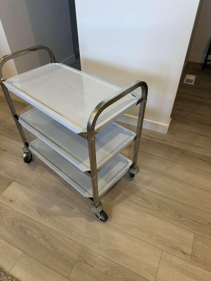 Stainless 3 Level Rolling Cart