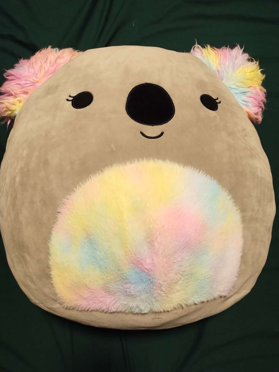 Cute koala squishmallows
