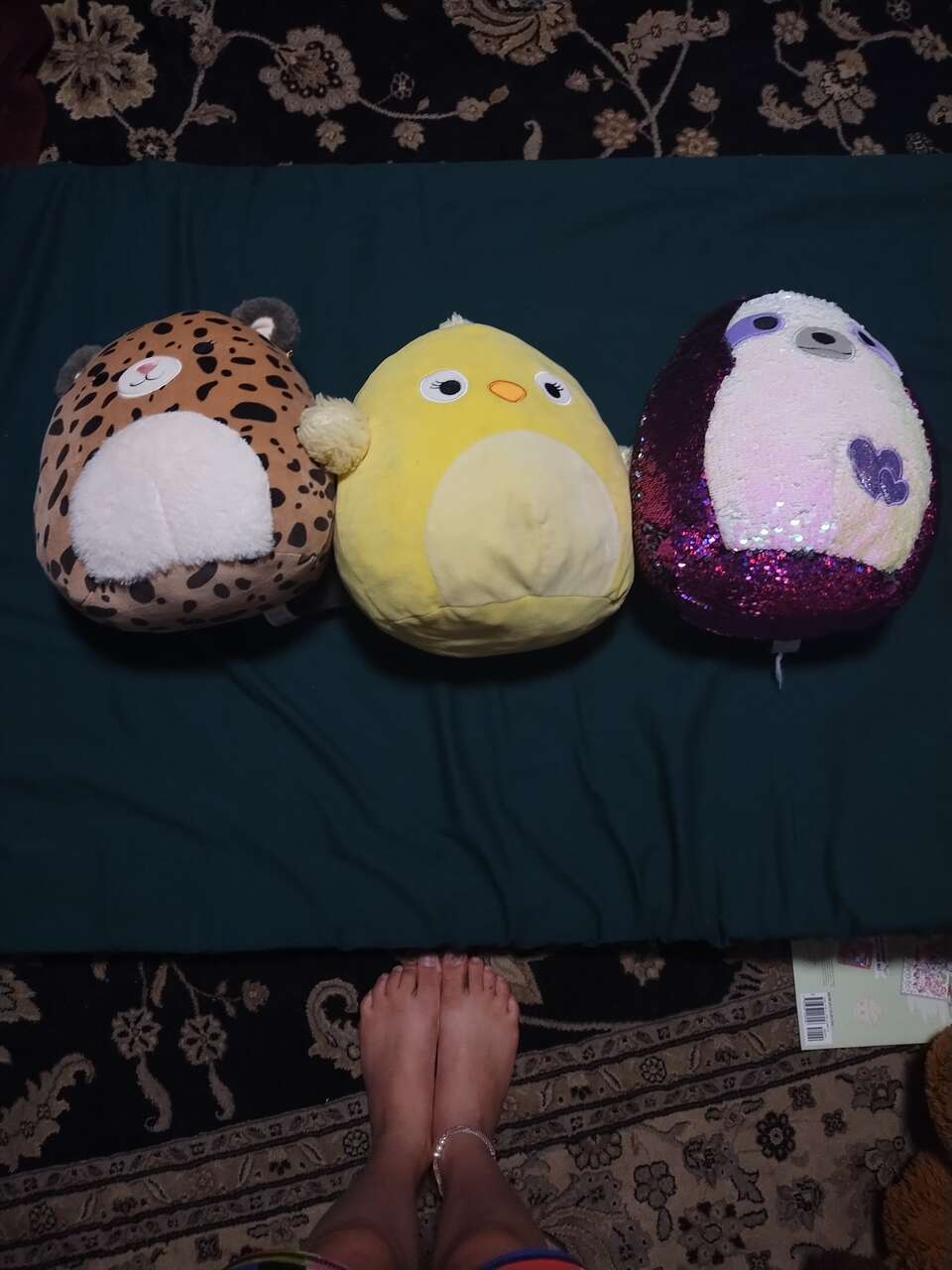 Cute animal squishmallows