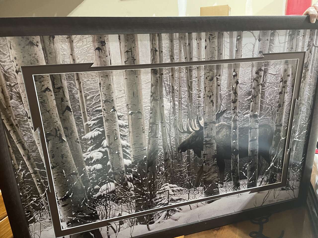 Moose Pictures