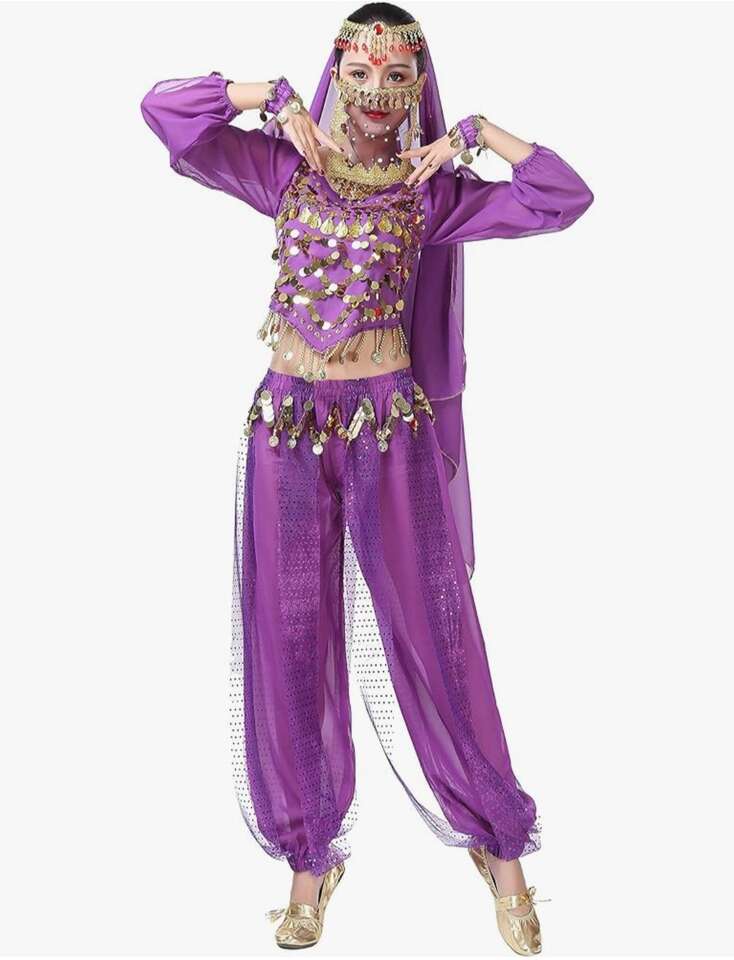 Belly Dancer Costume