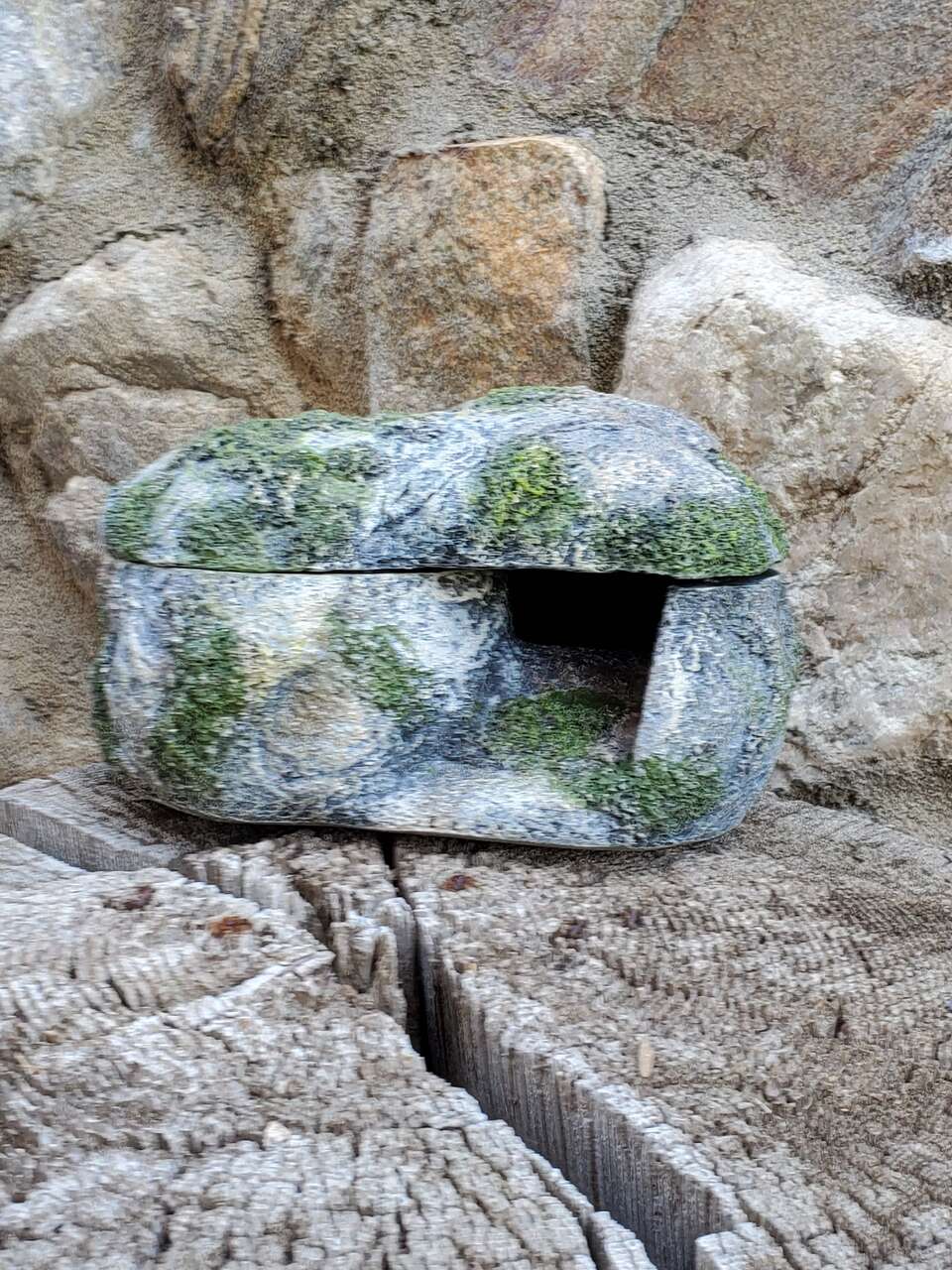 Zilla Rock Lair MD Naturalistic Hideaway