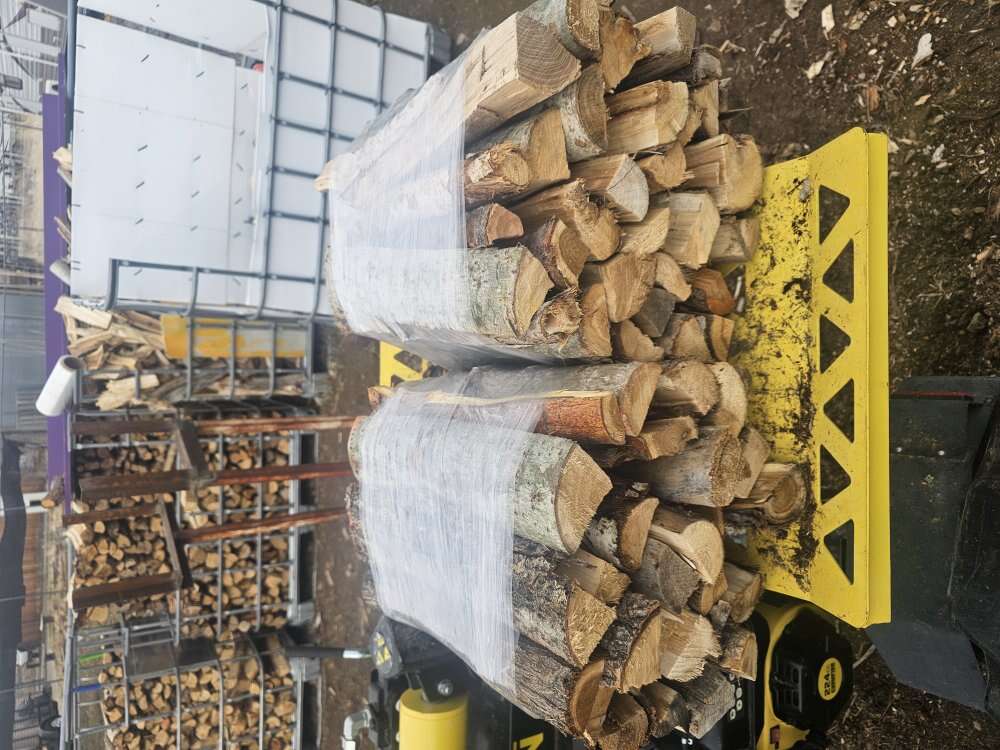 Firewood bundle