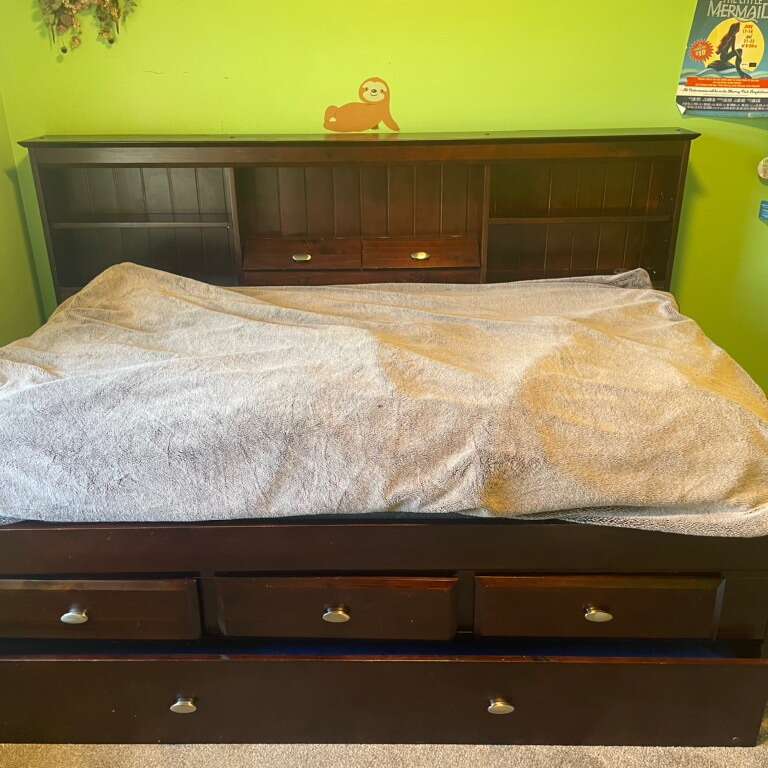 Beckford Kids Twin Daybed With Trundle Furniture