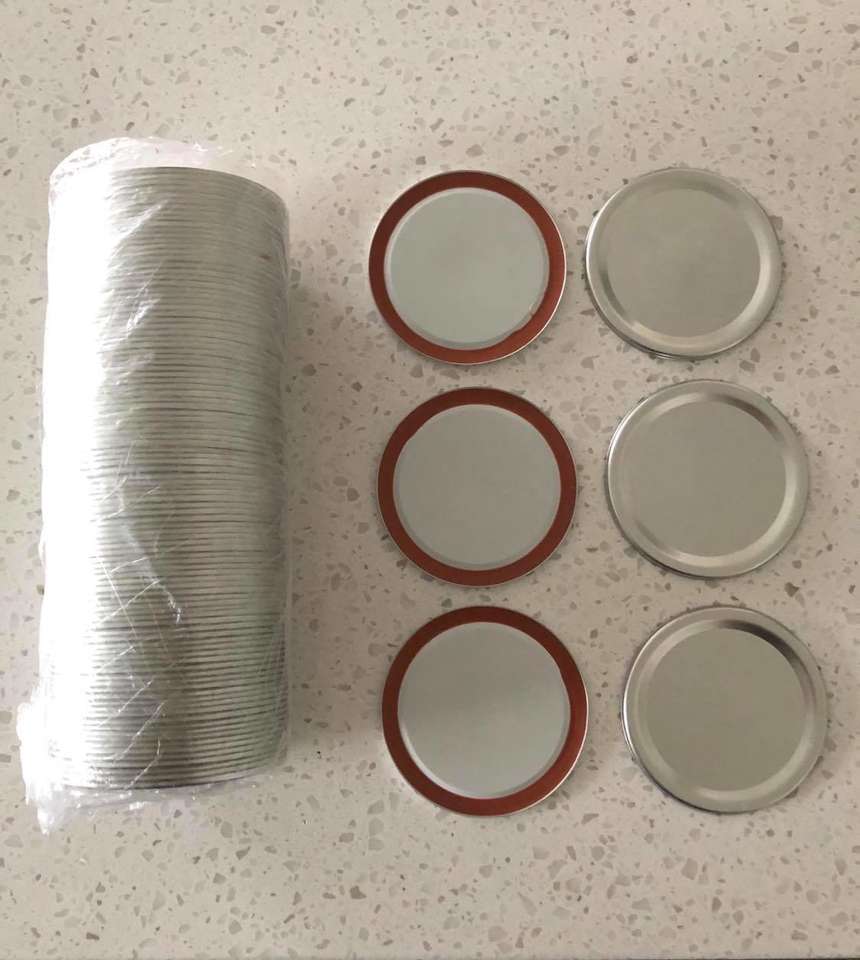 100 Regular Mouth or Wide Mouth canning Lids