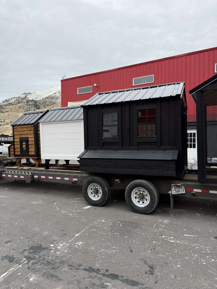 6x8 Walk In Chicken Coop
