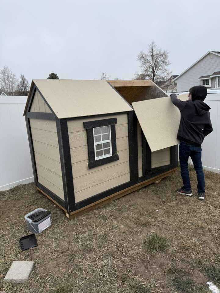 Dog House Flatpack Kits