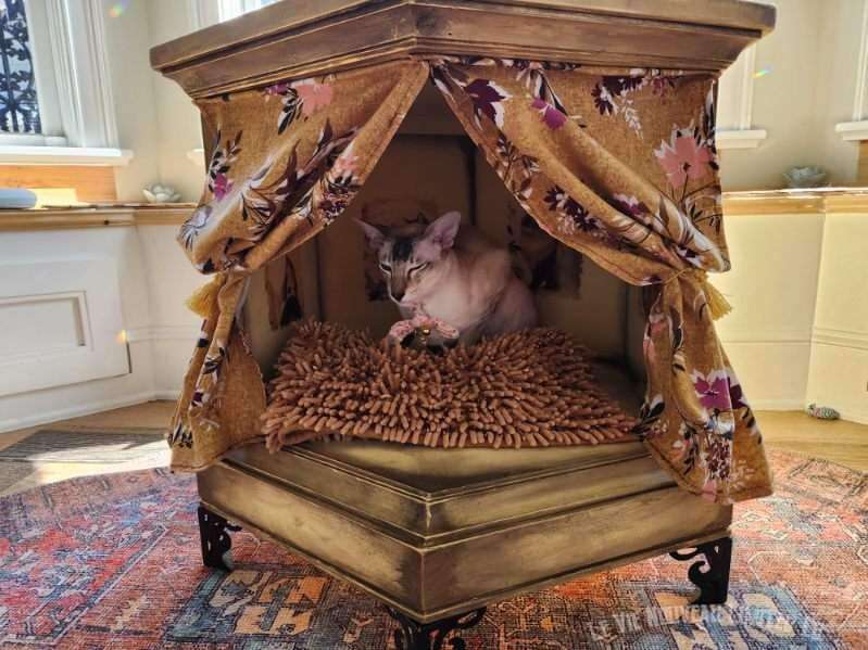 Custom Order Request:Beautiful Siamese Cat Bed, Cat House, Pet Crate, Cat Lover Gift, End Table, Vintage 70s Hexagon Unique