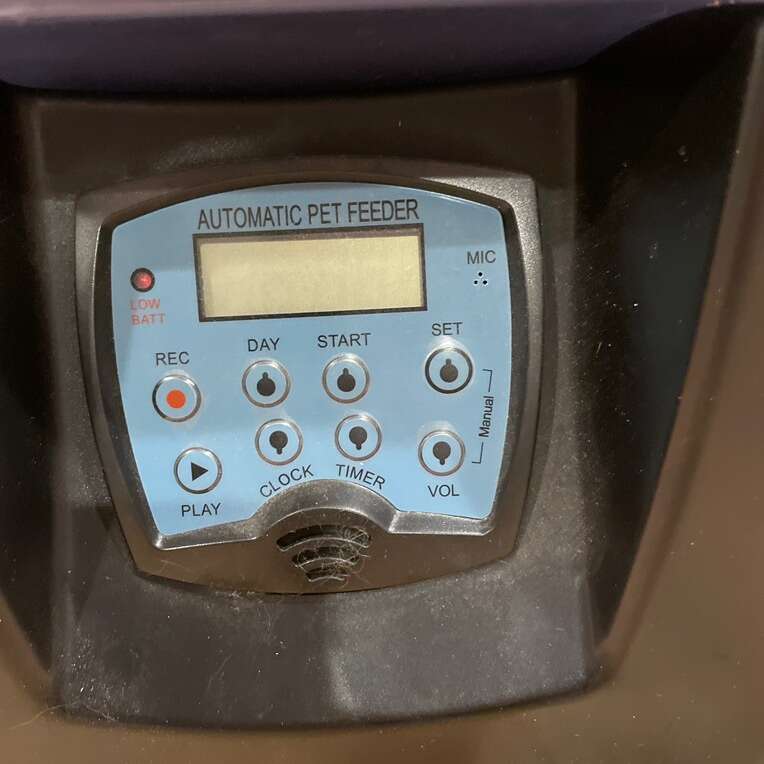 Dry Food Auto Feeder