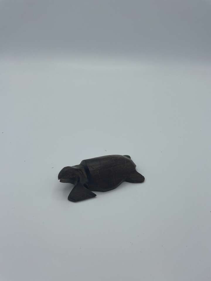 Wooden Turtle