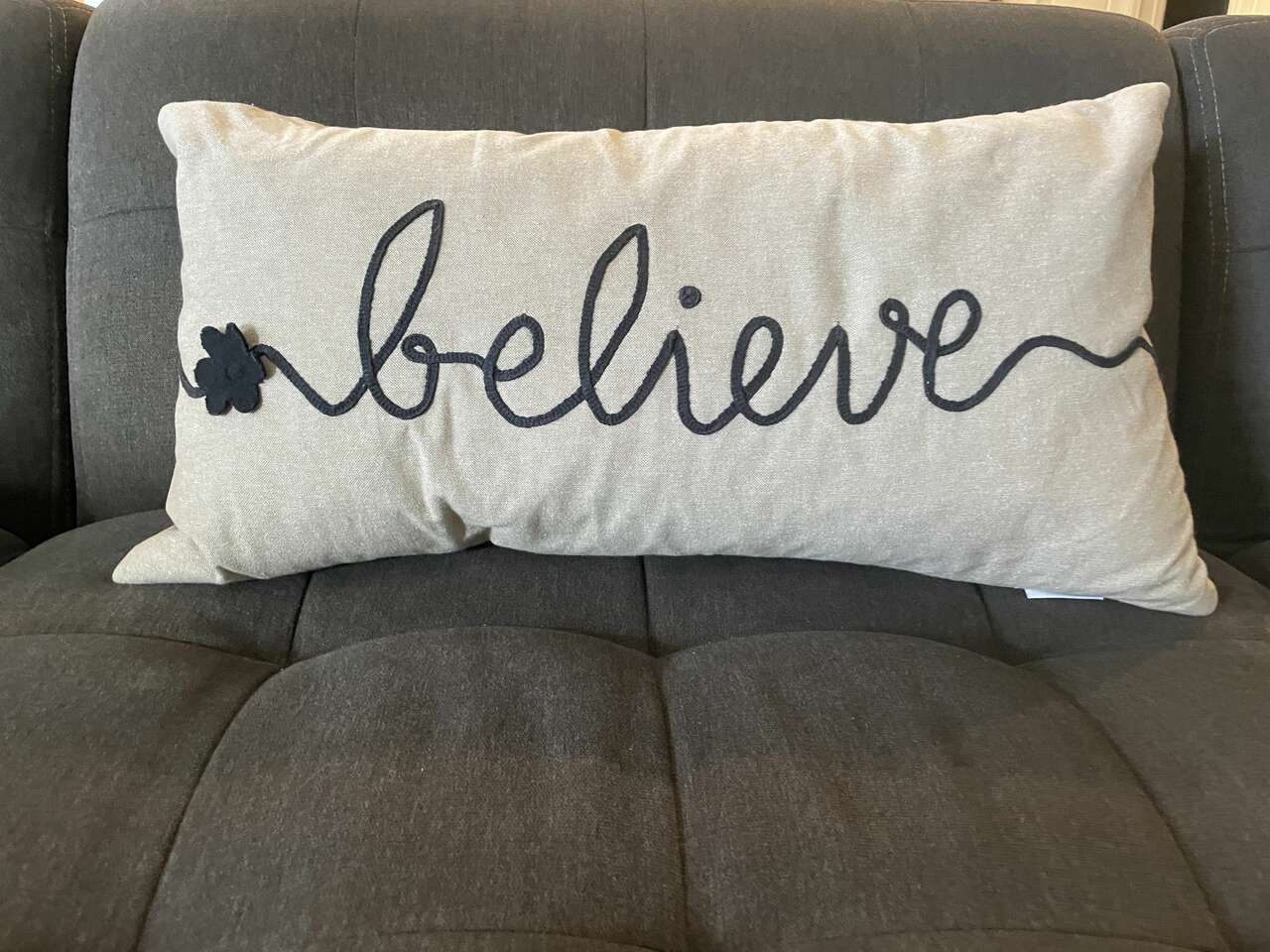 Believe down toss pillow