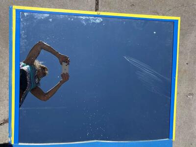 Yellow and Blue Mirror 32.25 inches by 38.5 inches