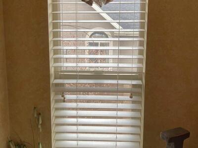 Wood Blinds 2 1/2”