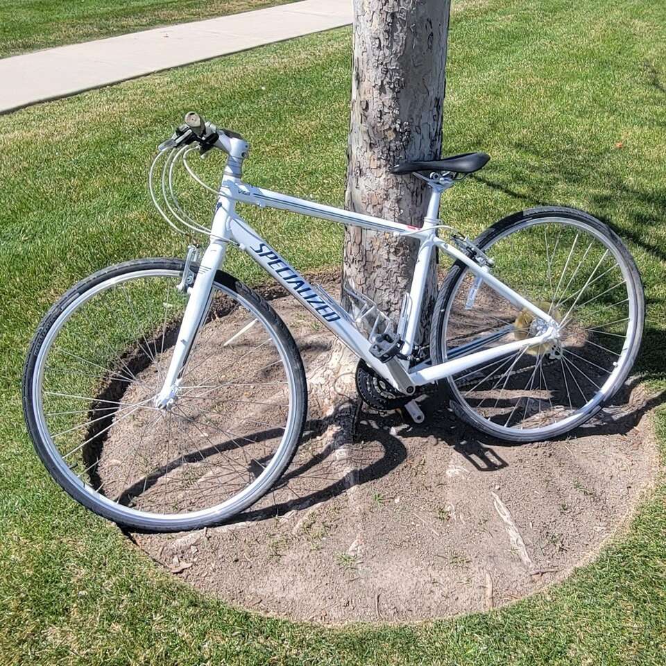 2013 Specialized Vita Street Bike