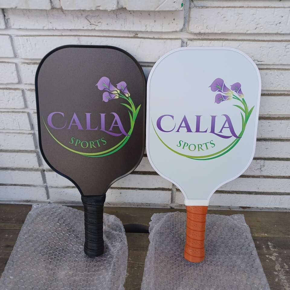 Pickleball paddle set