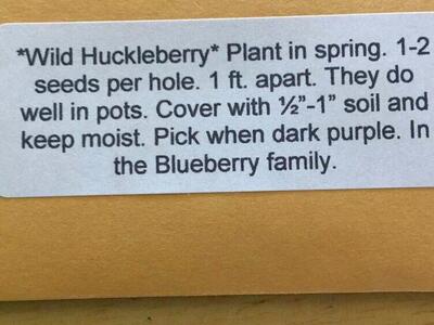 Wild Huckleberry Seeds