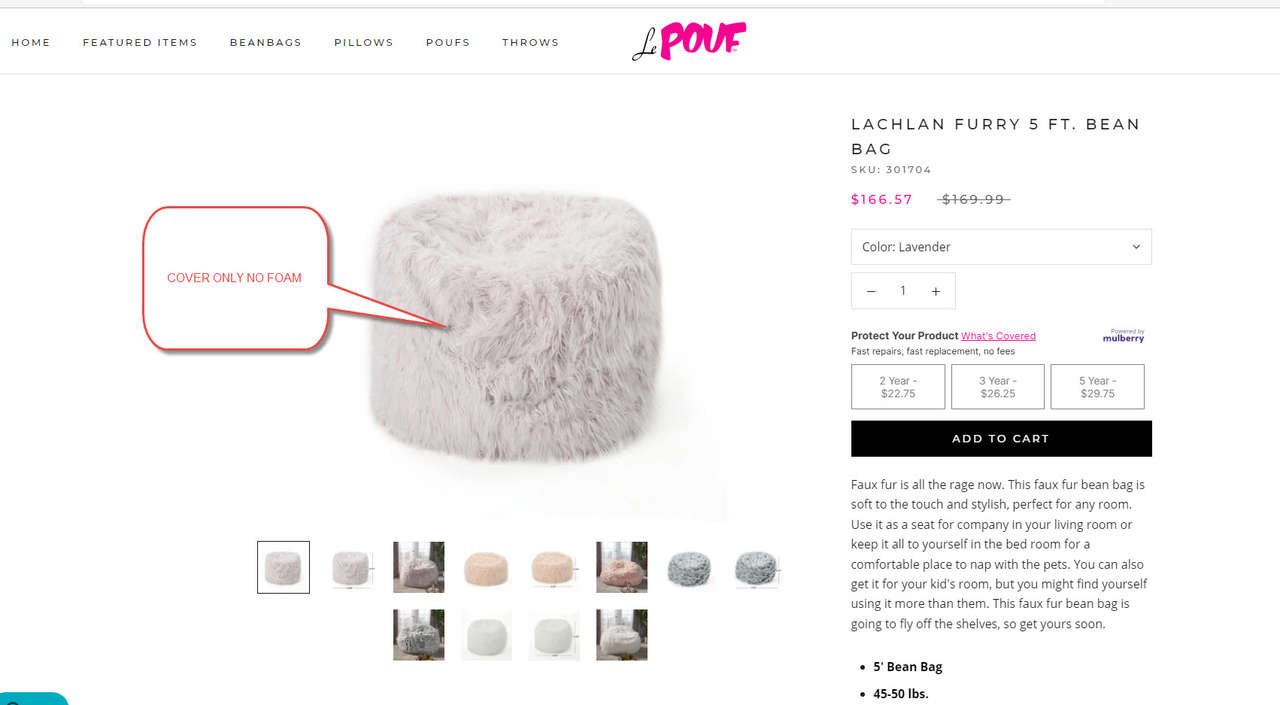 LACHLAN FURRY 5 FT. BEAN BAG Cover over no Foam