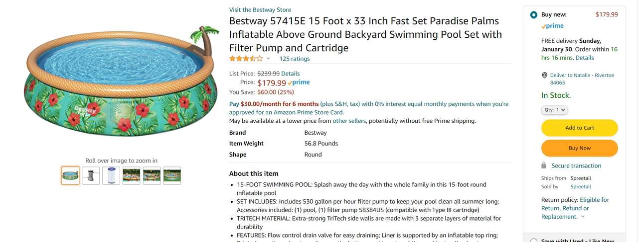Bestway 57415E 15 Foot x 33 Inch Fast Set Paradise Palms Inflatable Above Grnd Backyard Swimming Pool Set Filter Pump Cartridge