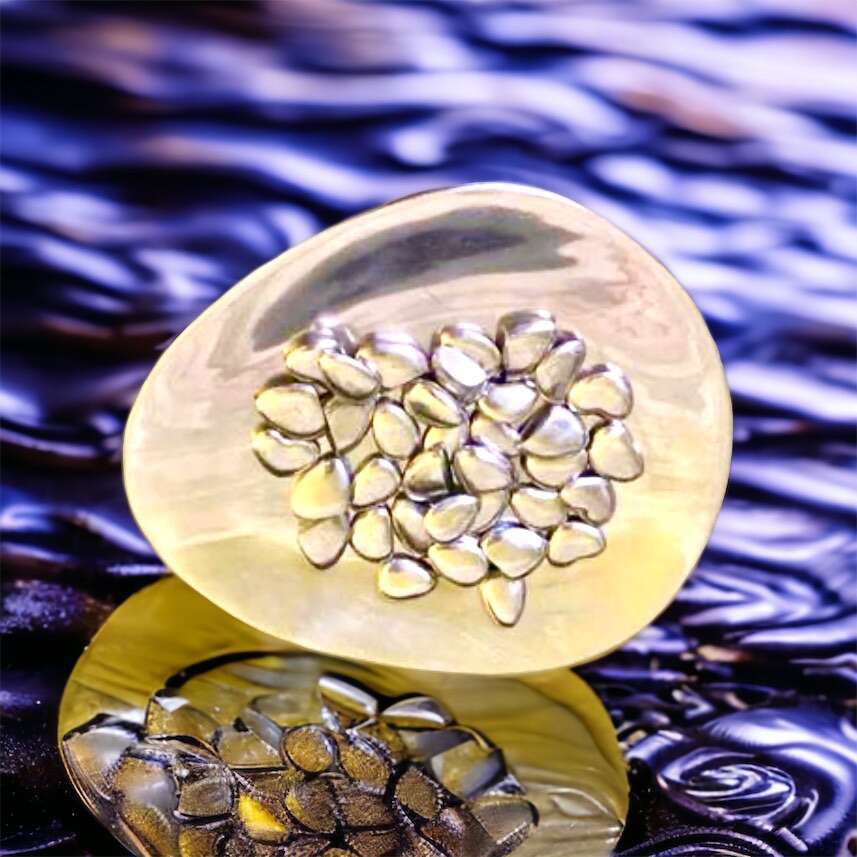 Clamshell Polished Stainless Steel With Steel Ston