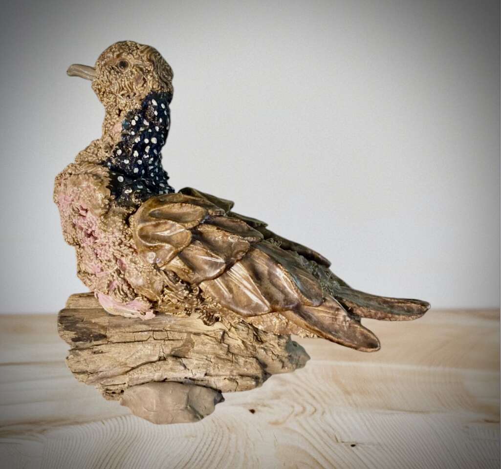 Spotted dove Clay Pottery