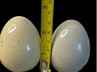 Brooding Eggs Or Decoration