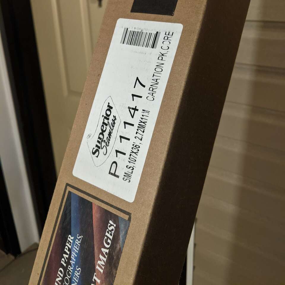 carnation pink background paper for photography