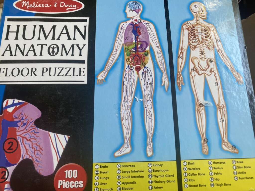 Human Anatomy Jigsaw Puzzle