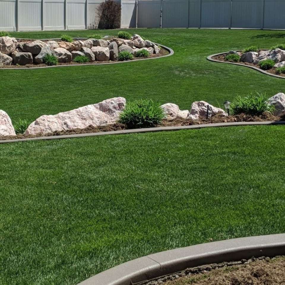 7 Seed Kentucky Blue Grass sod