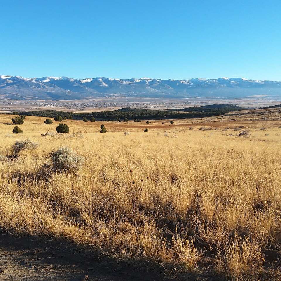 120 Acres land for sale near … Other Real Estate