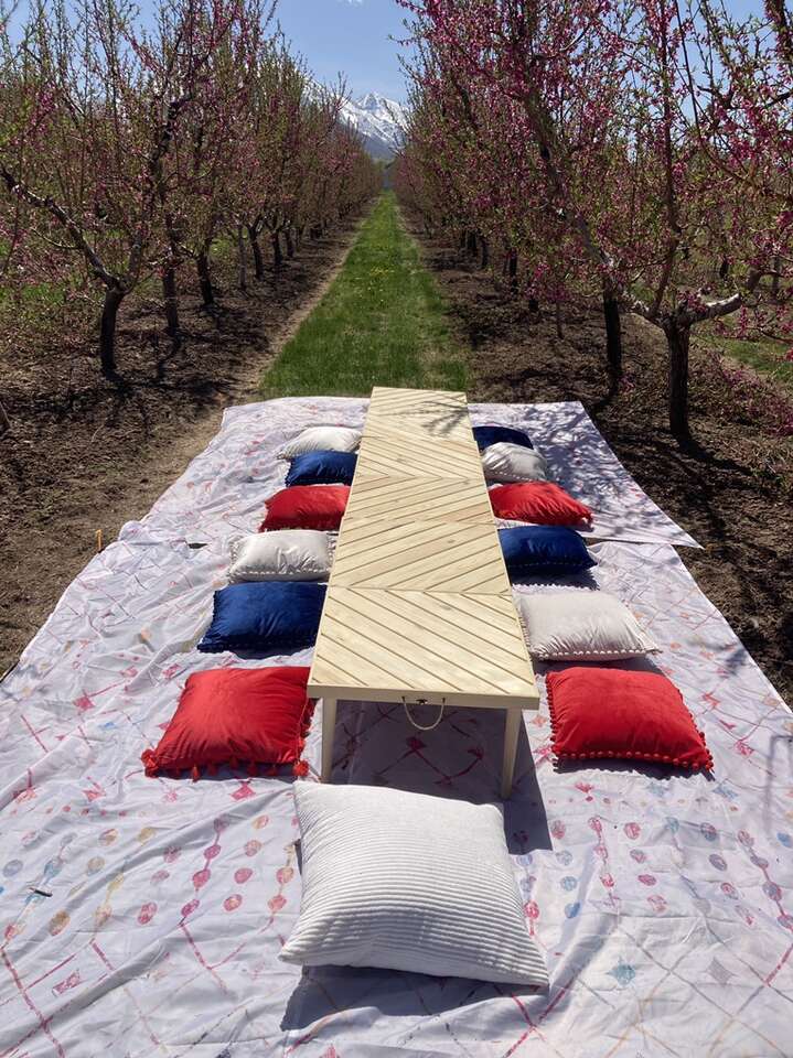 Boho Low Picnic/ Garden Party Tables