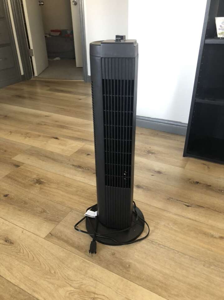 Oscillating Fan