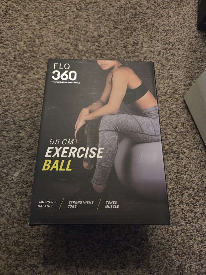 Flo 360 Excersise Ball (Grey)