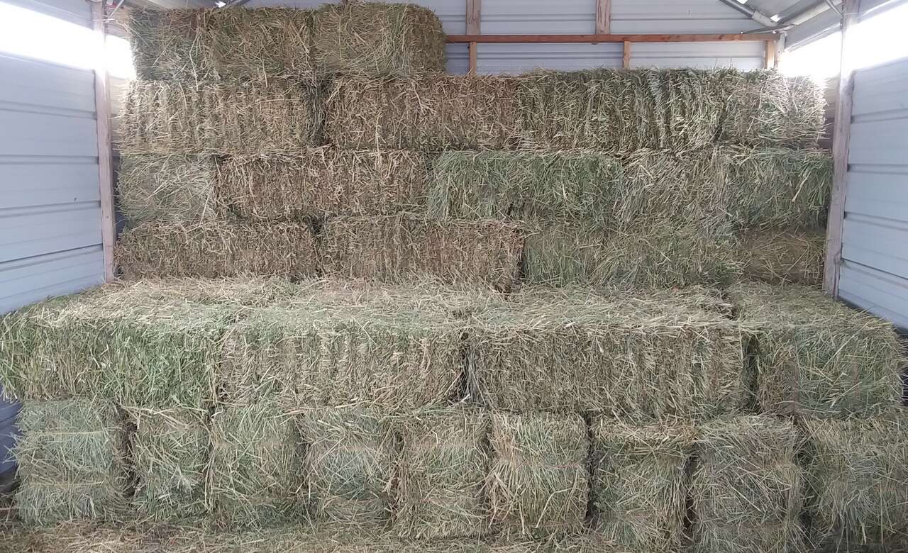 Alfalfa / Grass Hay mix | Livestock | ksl.com