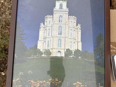 Manti Temple Pic in Metal Frame