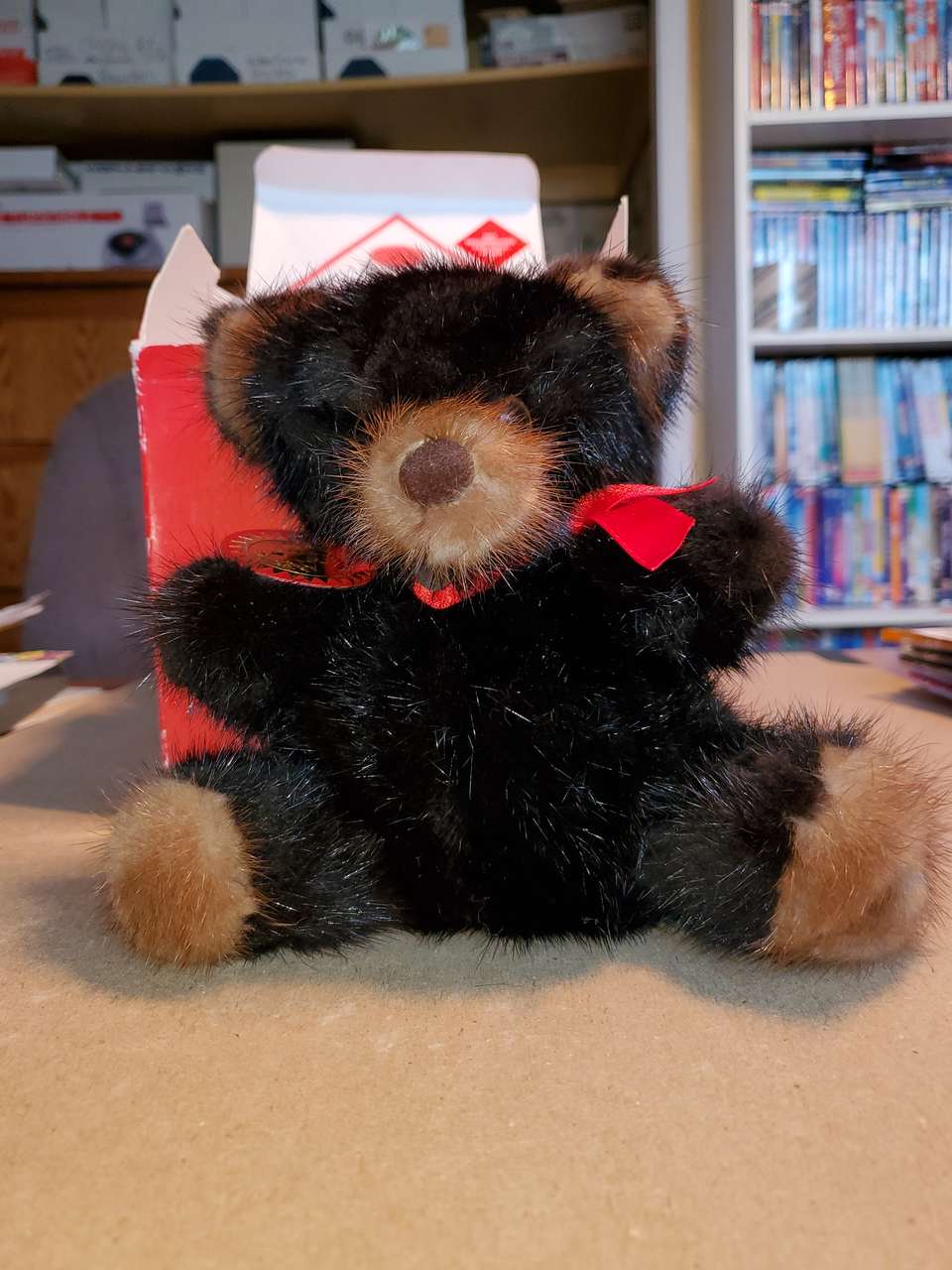 rare bear mink teddy bear